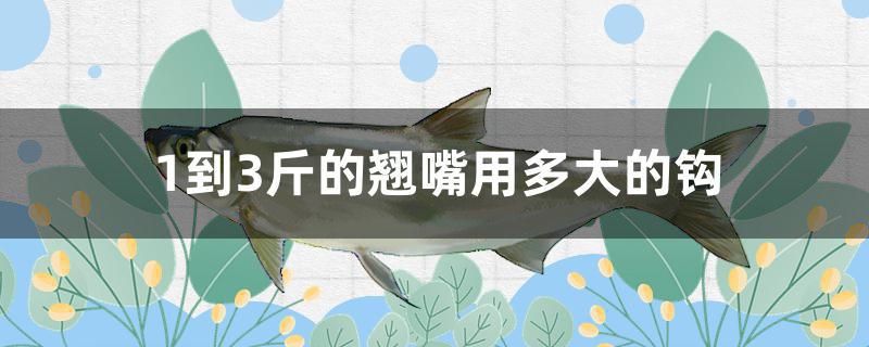1到3斤的翘嘴用多大的钩