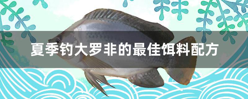 夏季钓大罗非的最佳饵料配方