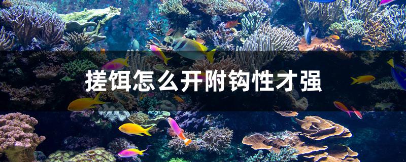 搓饵怎么开附钩性才强