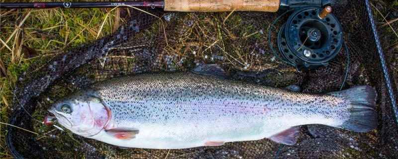 なぜ砂場に魚がいても釣れないのか、どうするのか