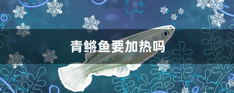 青鳉魚要加熱嗎