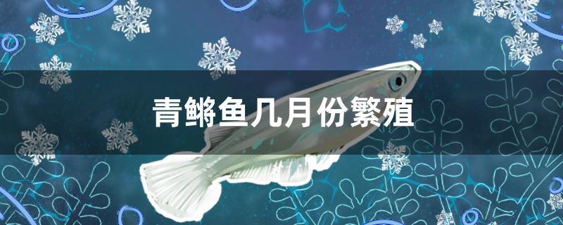 青鳉魚(yú)幾月份繁殖