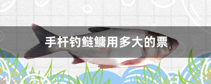 手杆钓鲢鳙用多大的票 水族展会