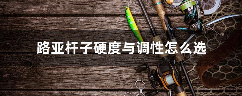 路亞桿子硬度與調(diào)性怎么選 黑桃A魚(yú)