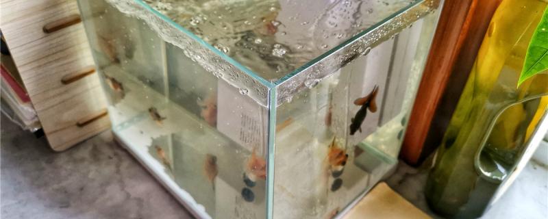 What water to change for the fish tank and how to change the water for the fish tank