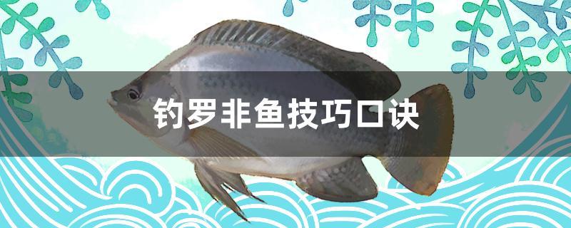 釣羅非魚技巧口訣