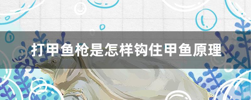 打甲鱼枪是怎样钩住甲鱼原理