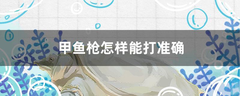 甲鱼枪怎样能打准确