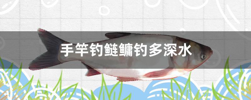 手竿釣鰱鳙釣多深水 野彩魚