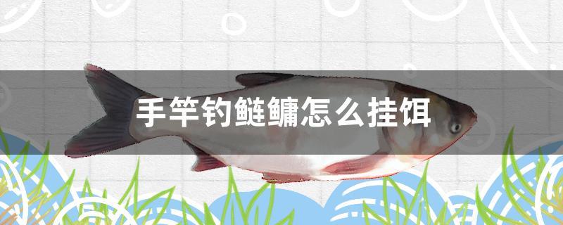 手竿釣鰱鳙怎么掛餌 森森魚(yú)缸