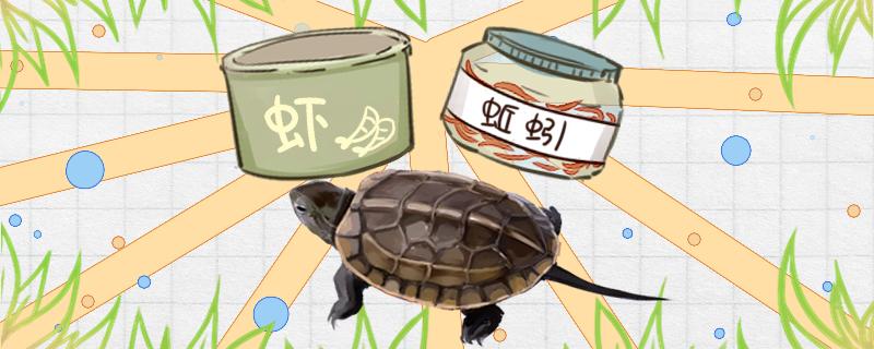 小中华草龟吃什么食物，怎么喂长得快