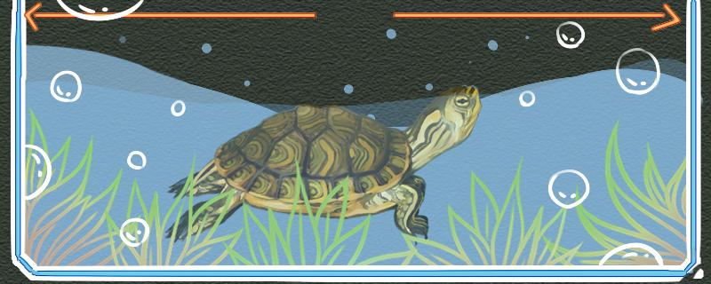 黄耳龟可以在水族箱里养吗，水位多高合适