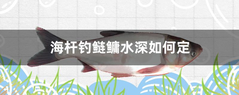 海桿釣鰱鳙水深如何定 白子銀龍魚苗