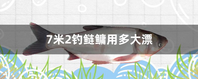 7米2釣鰱鳙用多大漂 速倍妥魚糧魚藥