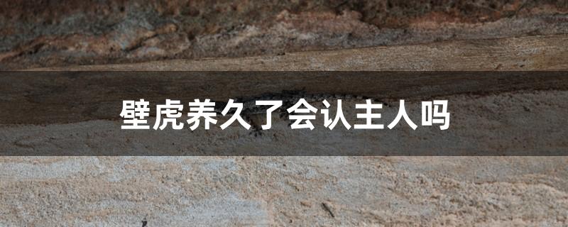 壁虎养久了会认主人吗