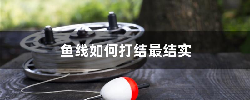 鱼线如何打结最结实 祥龙进口元宝凤凰鱼