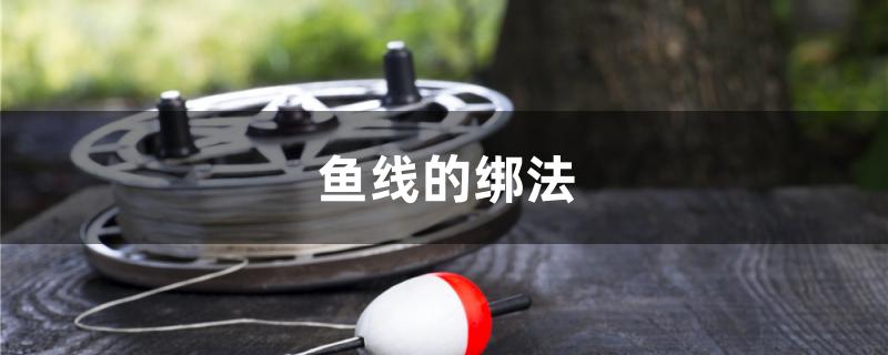 鱼线的绑法 垂钓乐园