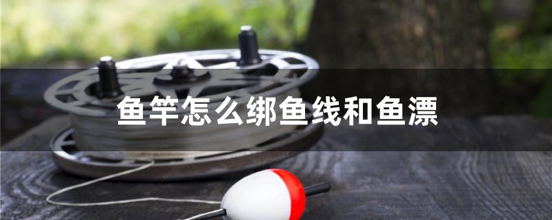 鱼竿怎么绑鱼线和鱼漂