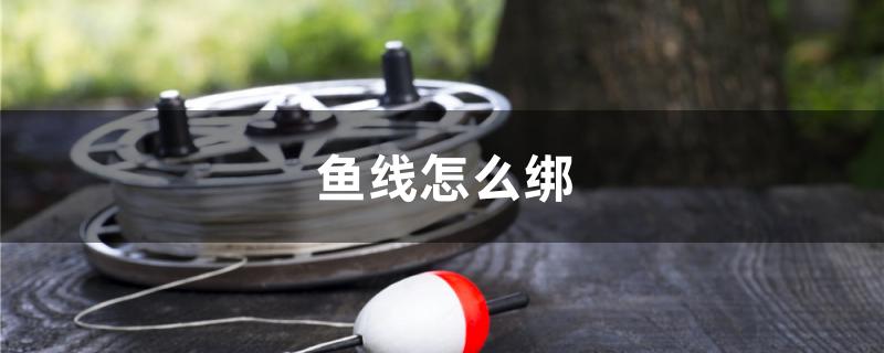 鱼线怎么绑 慈雕鱼