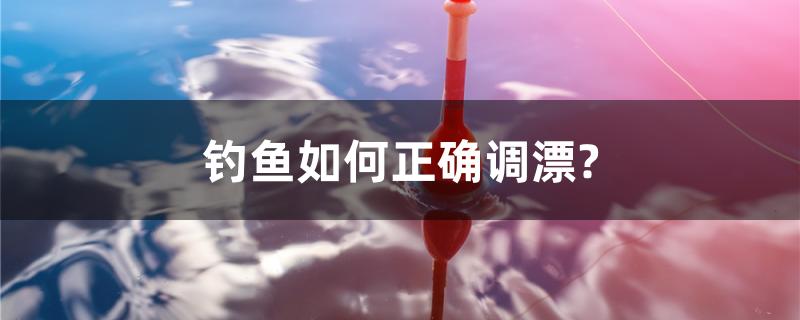 钓鱼如何正确调漂？ 水族展会