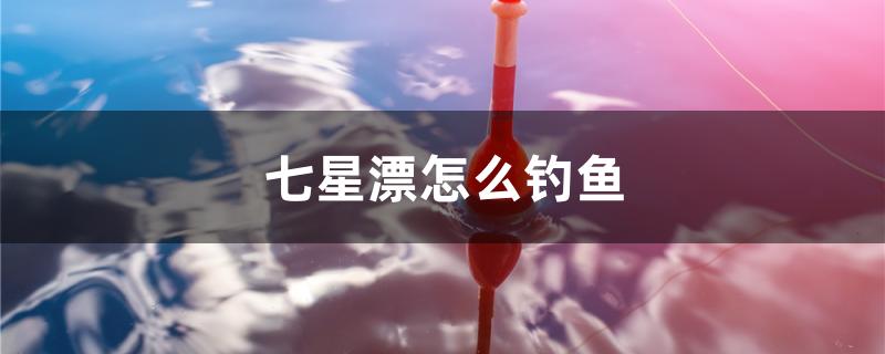 七星漂怎么钓鱼