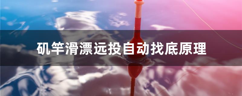 矶竿滑漂远投自动找底原理 银龙鱼苗