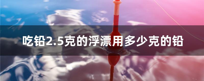 吃鉛2.5克的浮漂用多少克的鉛 白寫錦鯉魚