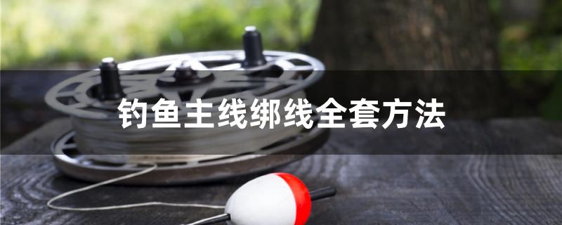 钓鱼主线绑线全套方法