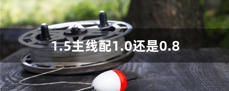 1.5主线配1.0还是0.8 白化火箭鱼