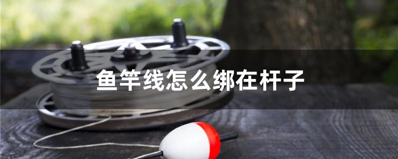 鱼竿线怎么绑在杆子