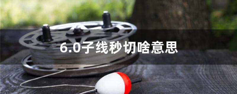6.0子线秒切啥意思