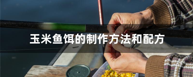 老玉米粒制作鱼饵方法图片