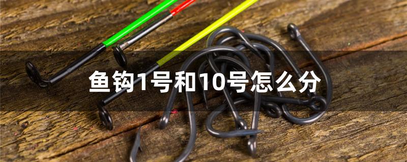 鱼钩1号和10号怎么分