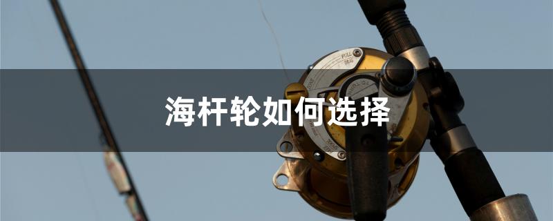 海杆轮如何选择