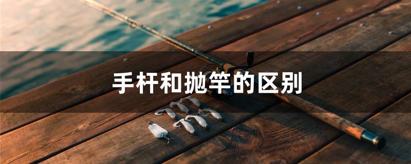 手桿和拋竿的區(qū)別 黃金貓魚百科