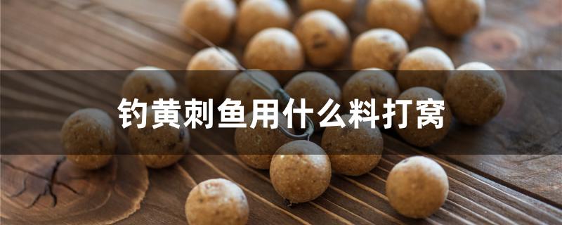 釣黃刺魚用什么料打窩