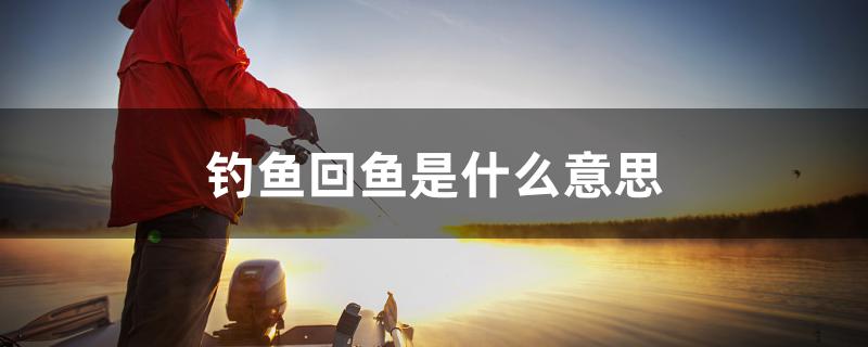 釣魚(yú)回魚(yú)是什么意思 廣州觀賞魚(yú)批發(fā)市場(chǎng)