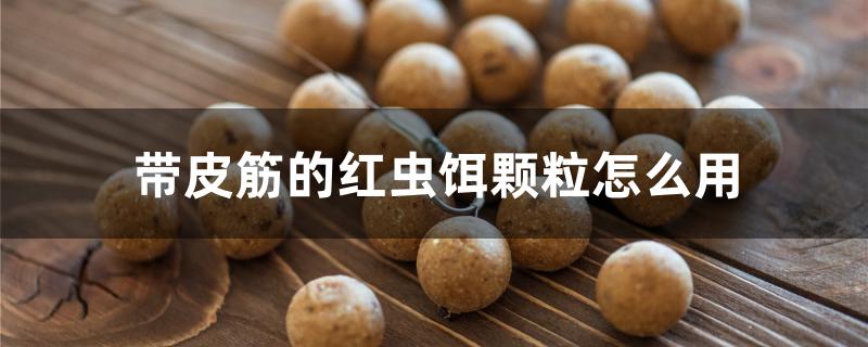 带皮筋的红虫饵颗粒怎么用