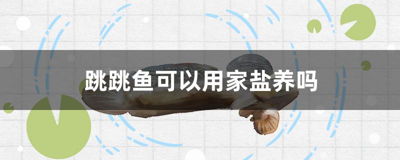 跳跳魚可以用家鹽養(yǎng)嗎 喂食器