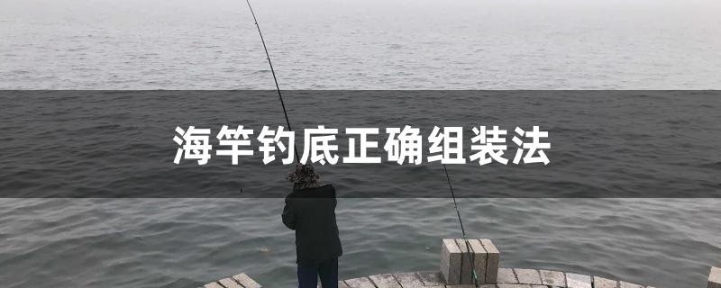 海竿钓底正确组装法 垂钓乐园