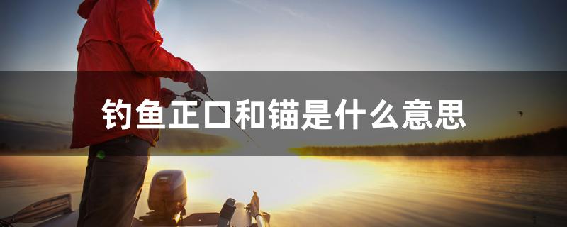 釣魚正口和錨是什么意思 圣菲埃及魚