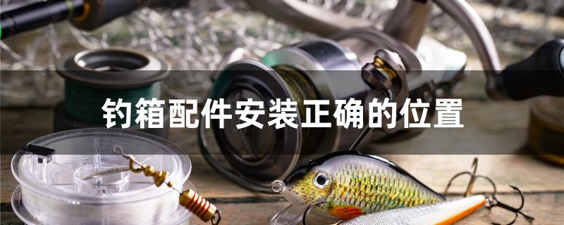 钓箱配件安装正确的位置