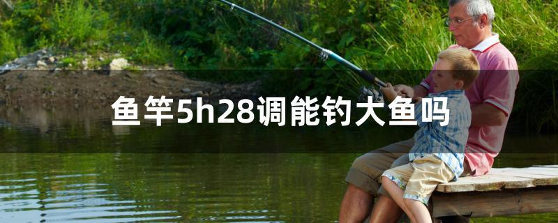 鱼竿5h28调能钓大鱼吗