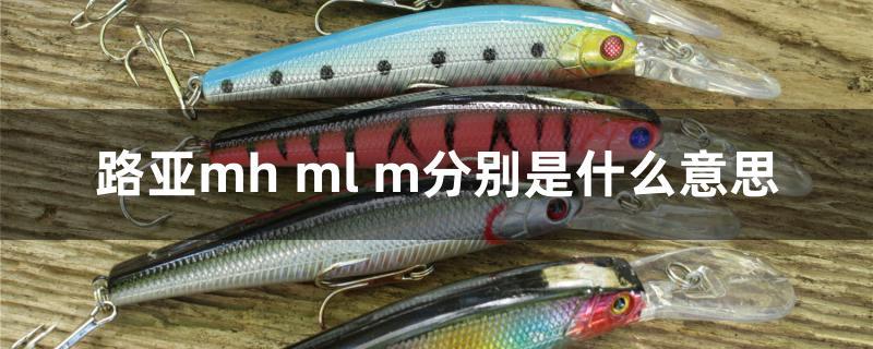 路亚mh ml m分别是什么意思