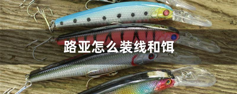 路亚怎么装线和饵