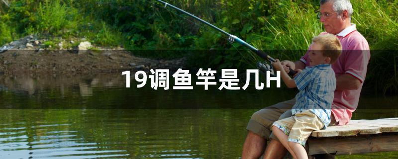 19調(diào)魚竿是幾H