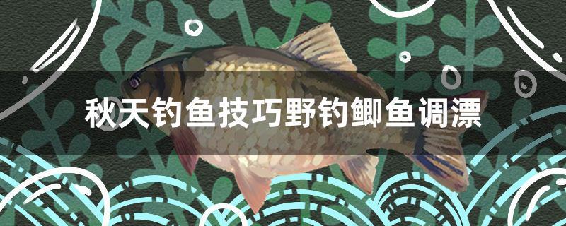 秋天釣魚技巧野釣鯽魚調(diào)漂 觀賞魚進(jìn)出口