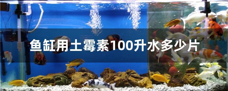 鱼缸用土霉素100升水多少片