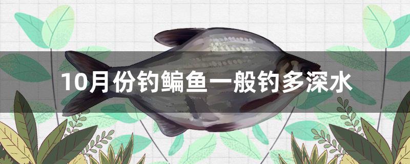 10月份釣鳊魚一般釣多深水