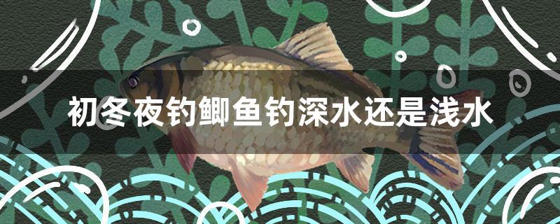 初冬夜釣鯽魚(yú)釣深水還是淺水